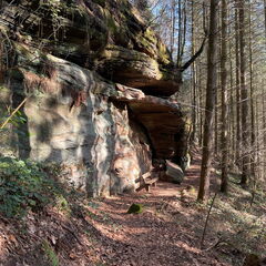 23-03-03 11-01-27 4613